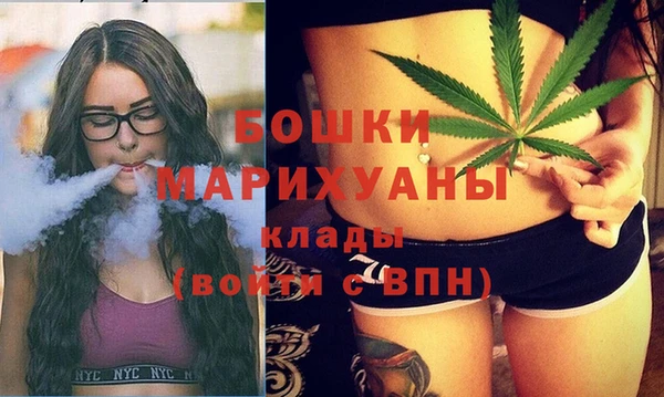 гашик Инта