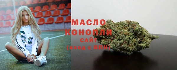 шишки Инсар