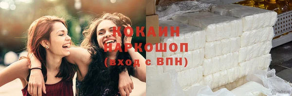 гашик Инта