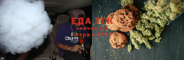 гашик Инта