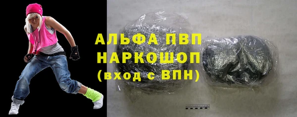 шишки Инсар