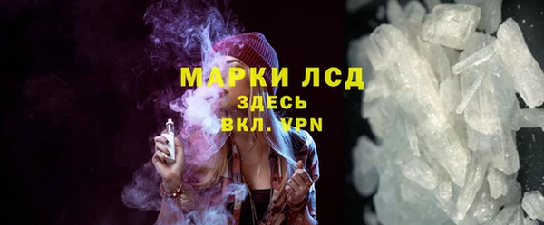 гашик Инта