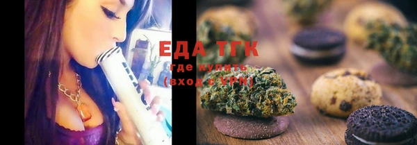 шишки Инсар