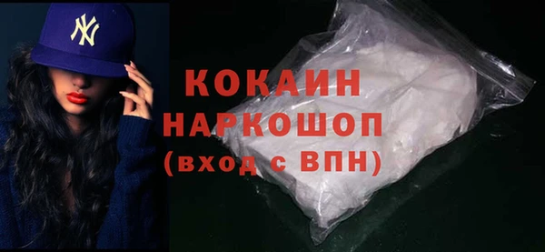 шишки Инсар