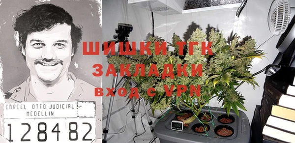 шишки Инсар