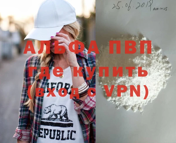 шишки Инсар