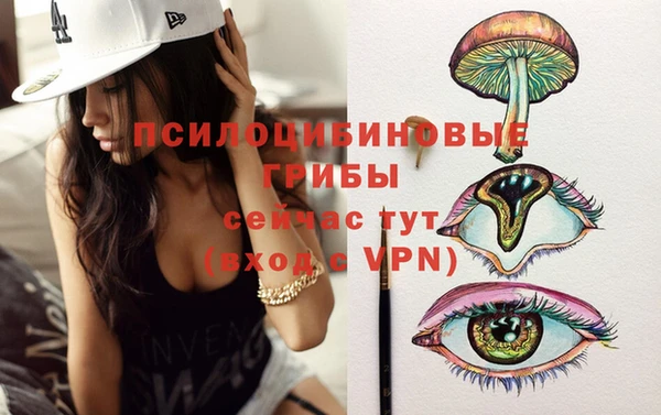 шишки Инсар