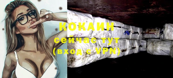 шишки Инсар
