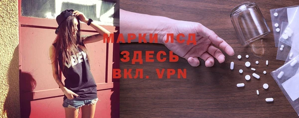 шишки Инсар