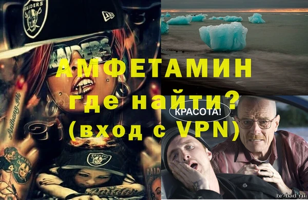 молекула духа Осташков