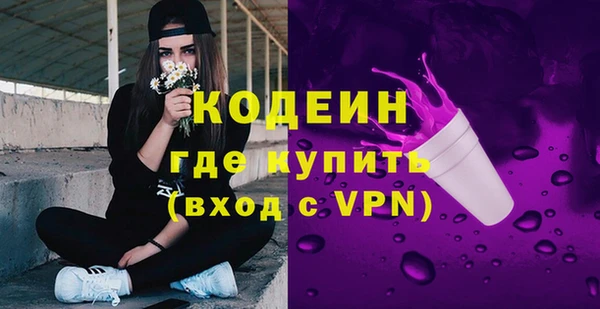 шишки Инсар